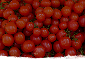 Cherry paradajz